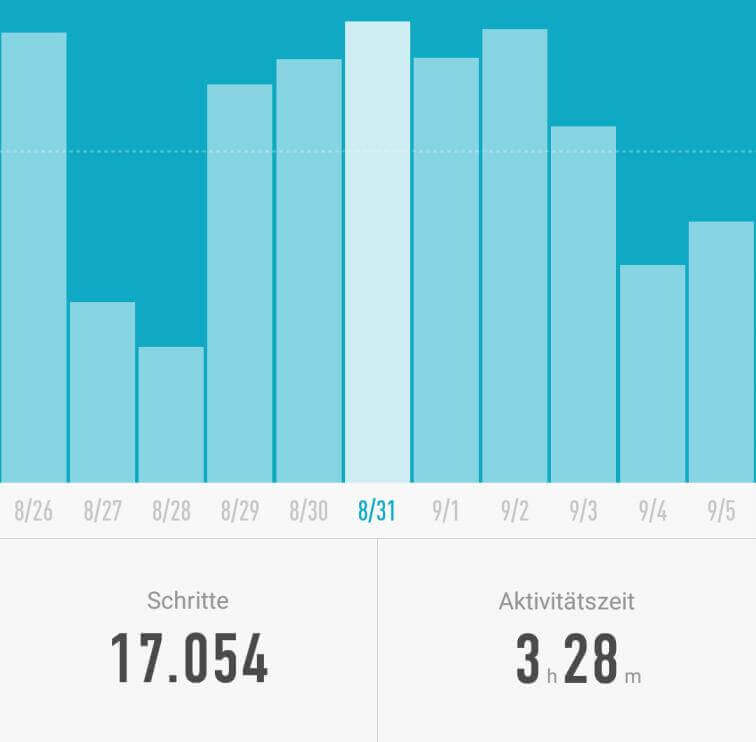 Mi Fit Statistik